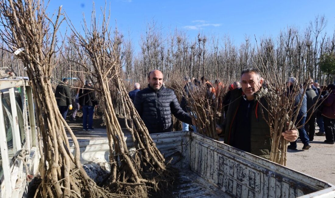 Kocaeli Büyükşehir Belediyesi, “Meyveciliği Geliştirme Projesi” kapsamında başlattığı yüzde 50