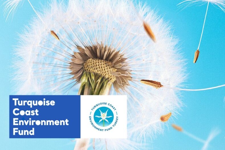Turquoise Coast Environment Fund – Turkey (TCEF), Türkiye’nin güney ve