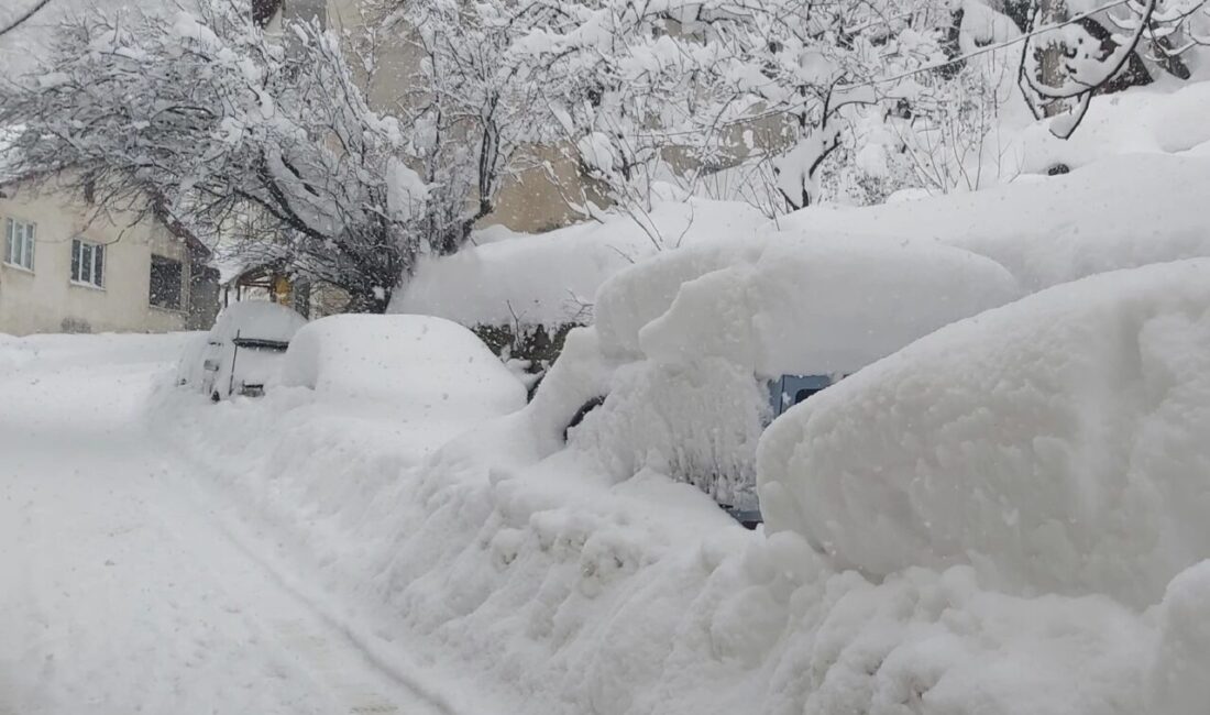 Meteoroloji ve AFAD, yüksek kar örtüsü bulunan eğimli bölgelerde vatandaşları