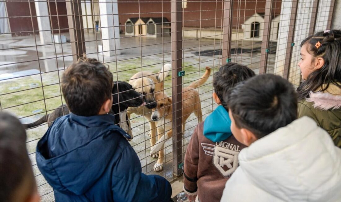 Hem insan, hem hayvan, hem de çevre sağlığını gözeten bütüncül