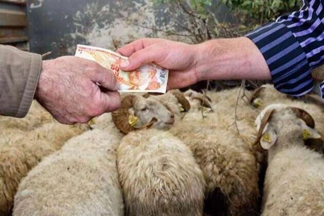 Diyanet İşleri Başkanlığı tarafından hazırlanan 2026 Yılı Kurban Hizmetlerinin Uygulanmasına