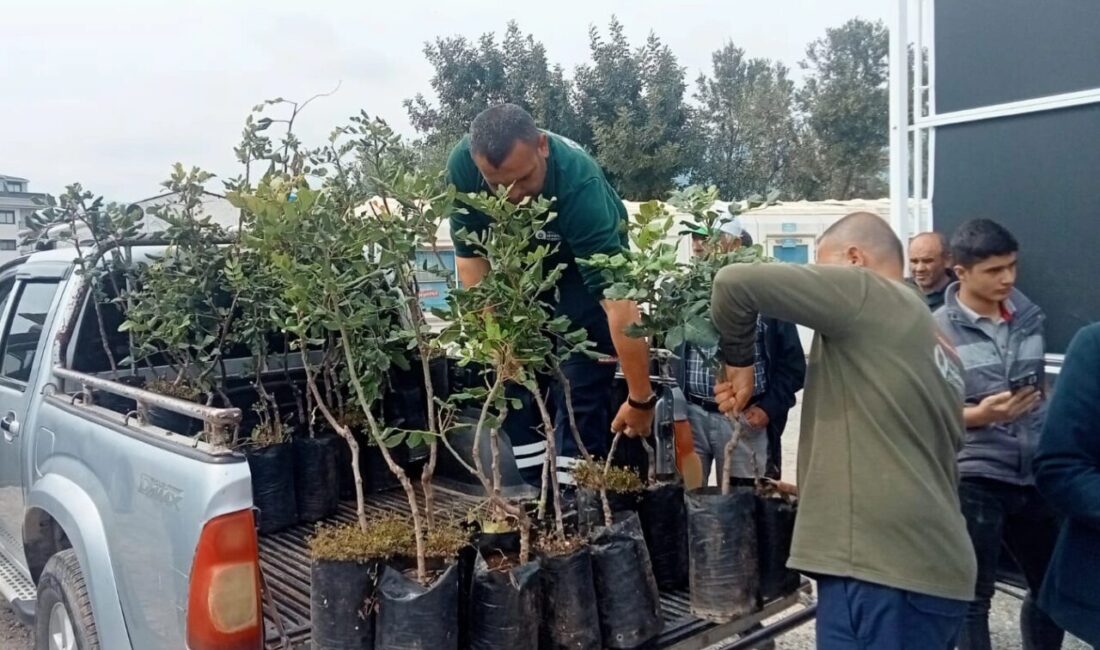 Antalya Büyükşehir Belediyesi, Alanya’nın coğrafi işaretli ürünü keçiboynuzunun üretimini artırmak