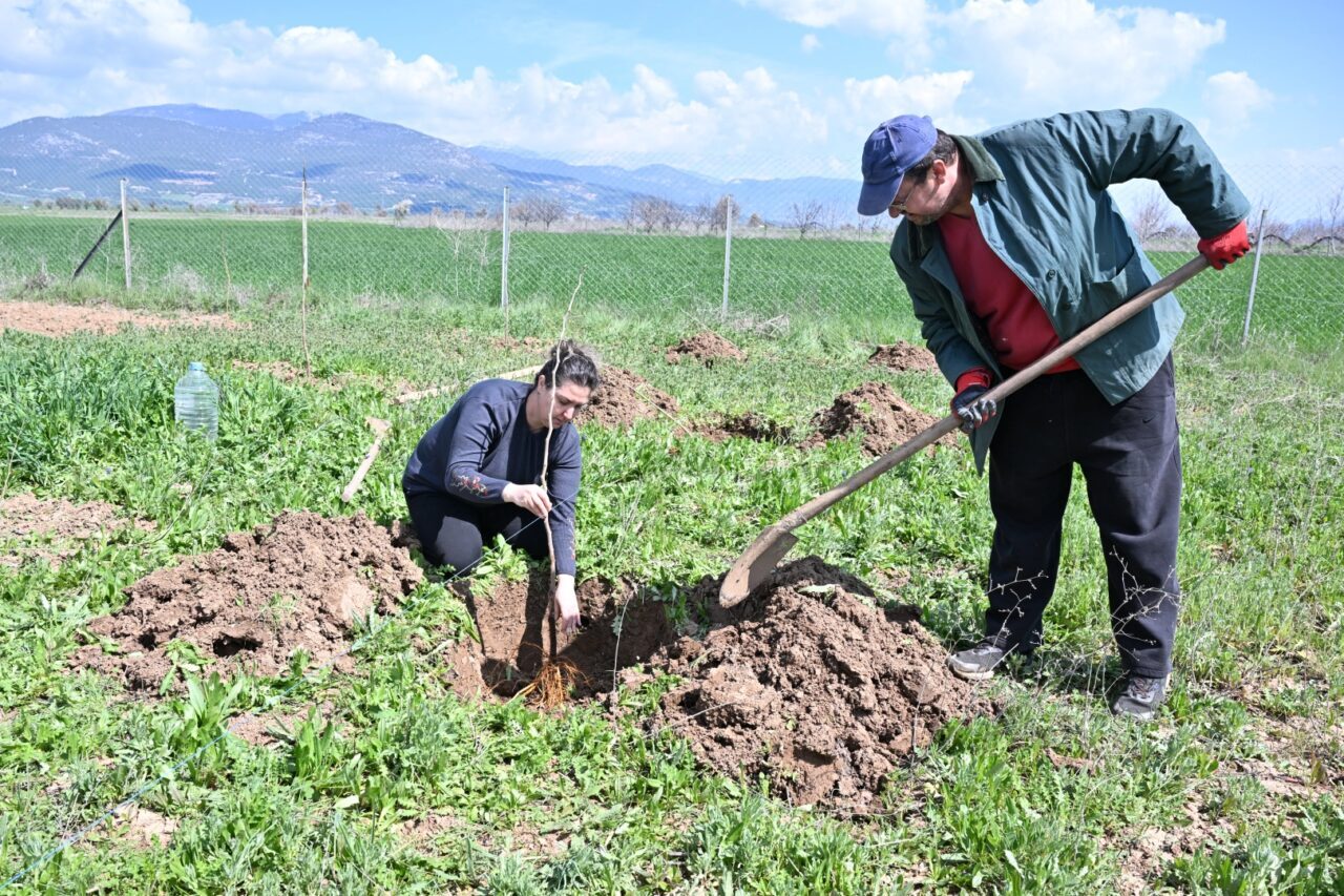 Antalya Büyükşehir Belediyesi hem geleneksel ipek böceği yetiştiriciliğini yaşatmak hem