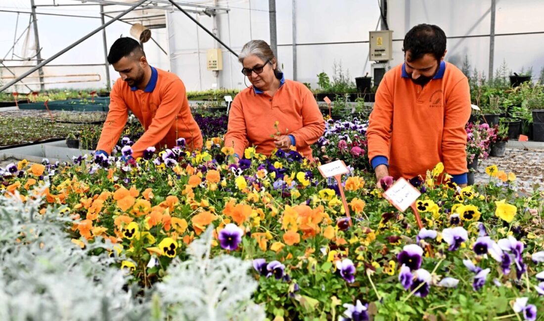 Antalya Muratpaşa Belediyesi’nin, kesme çiçek üretimiyle öne çıkan Antalya’da bu