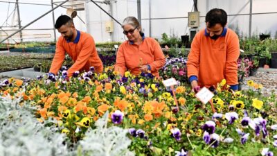 Antalya Muratpaşa Belediyesi’nin, kesme çiçek üretimiyle öne çıkan Antalya’da bu