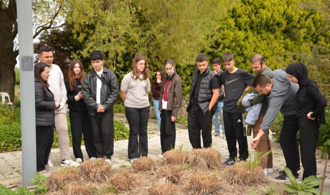 Balıkesir Büyükşehir Belediyesi Çiftçi Eğitim Merkezi (BAÇEM), Ayvalık Cunda Turizm