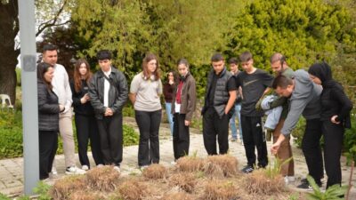 Balıkesir Büyükşehir Belediyesi Çiftçi Eğitim Merkezi (BAÇEM), Ayvalık Cunda Turizm