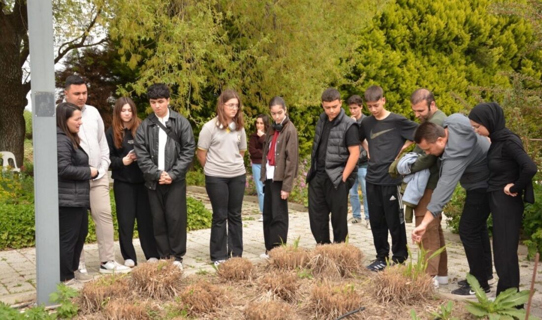 Balıkesir Büyükşehir Belediyesi Çiftçi Eğitim Merkezi (BAÇEM), Ayvalık Cunda Turizm