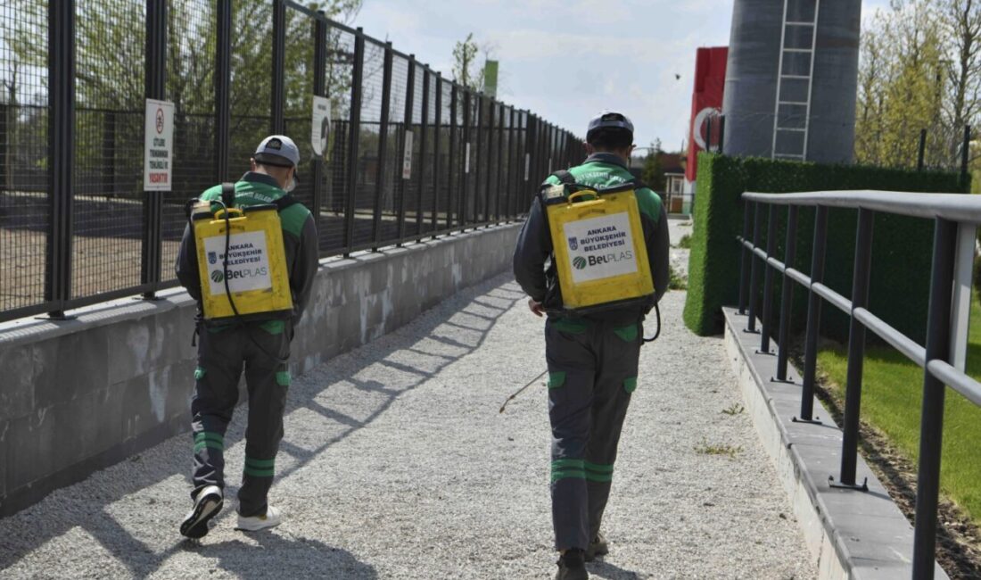 Ankara Büyükşehir Belediyesi, havaların ısınmaya başladığı bahar ve yaz günlerinde sinek,