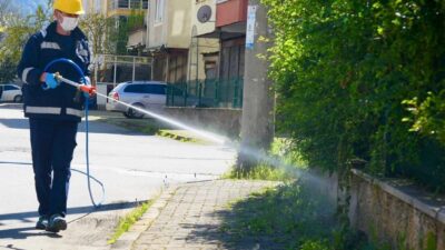 Kokarcaların istilasına uğrayan Giresun'da Belediye Veteriner İşleri Müdürlüğü, tarımsal üretimi