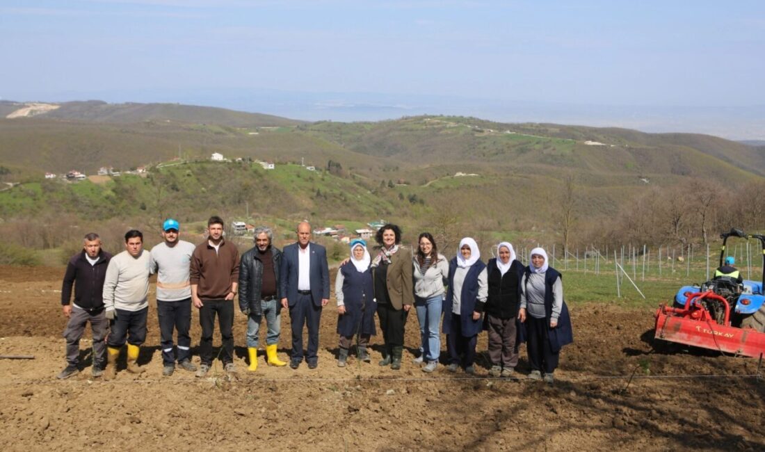Bursa Nilüfer Belediyesi, tarımsal üretimi çeşitlendirmek ve çiftçiye yeni gelir