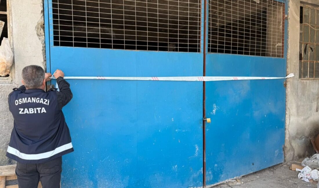 Bursa'da Osmangazi Belediyesi Zabıta Müdürlüğü ekipleri tarafından yürütülen titiz inceleme