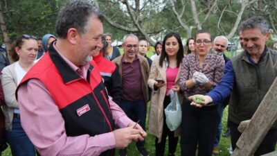 Bursa’nın coğrafi işaretli ürünü Bursa Siyahı incirde kaliteyi korumak amacıyla