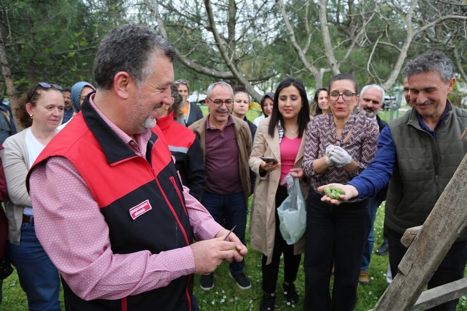 Bursa’nın coğrafi işaretli ürünü Bursa Siyahı incirde kaliteyi korumak amacıyla
