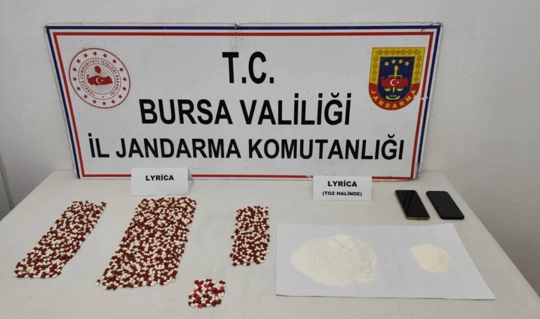 Bursa'da jandarma ekiplerinin Yenişehir ilçesinde düzenlediği operasyonda bini aşkın sentetik