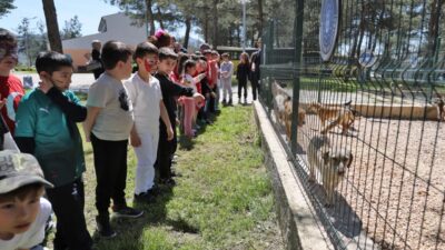 Bursa Büyükşehir Belediyesi, 23 Nisan Ulusal Egemenlik ve Çocuk Bayramı
