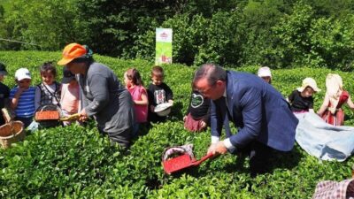 Cumhurbaşkanı Kararı ile Kamu İktisadi Teşebbüsleri (KİT) ve bağlı ortaklıklarının