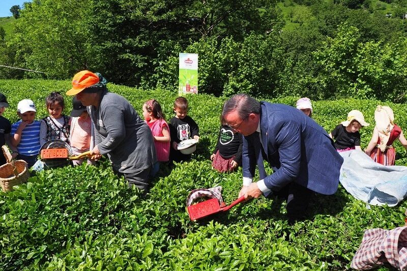Cumhurbaşkanı Kararı ile Kamu İktisadi Teşebbüsleri (KİT) ve bağlı ortaklıklarının