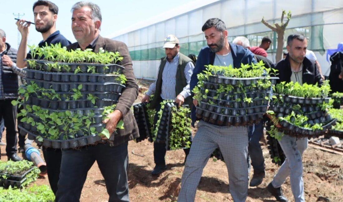 Şanlıurfa Büyükşehir Belediyesi, tarımsal üretimi desteklemek ve çiftçilerin maliyet yükünü