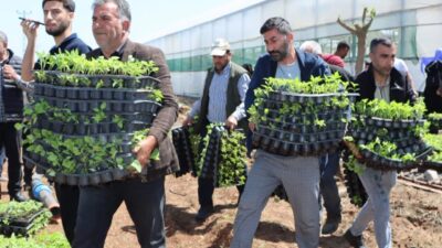 Şanlıurfa Büyükşehir Belediyesi, tarımsal üretimi desteklemek ve çiftçilerin maliyet yükünü