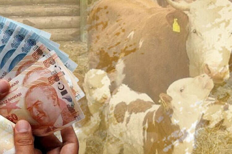 Tarım ve Orman Bakanı İbrahim Yumaklı, tarımsal destek ödemelerinin çiftçilerin