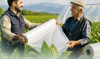 Denizli Büyükşehir Belediyesi, kırsal kalkınmayı destekleme vizyonu kapsamında tütün üreticilerinin