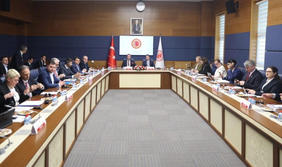 Güneydoğu Avrupa İşbirliği Süreci Parlamenter Asamblesi (GDAÜPA) Sosyal Kalkınma, Eğitim,