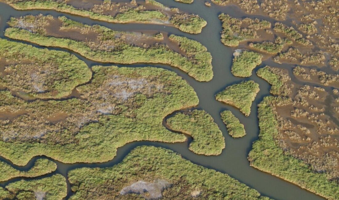 İzmir ve Manisa’nın ortak hazırladığı bilimsel rapor, Gediz Nehri’ndeki kirliliğin