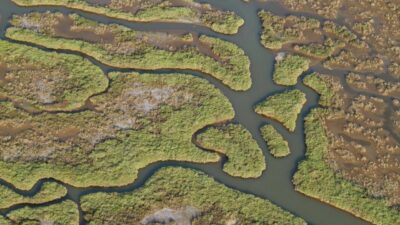 İzmir ve Manisa’nın ortak hazırladığı bilimsel rapor, Gediz Nehri’ndeki kirliliğin