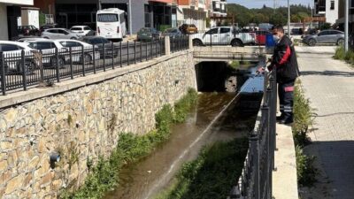 Hava sıcaklarının artması ile birlikte sivrisinek ve haşere popülasyonunda oluşabilecek