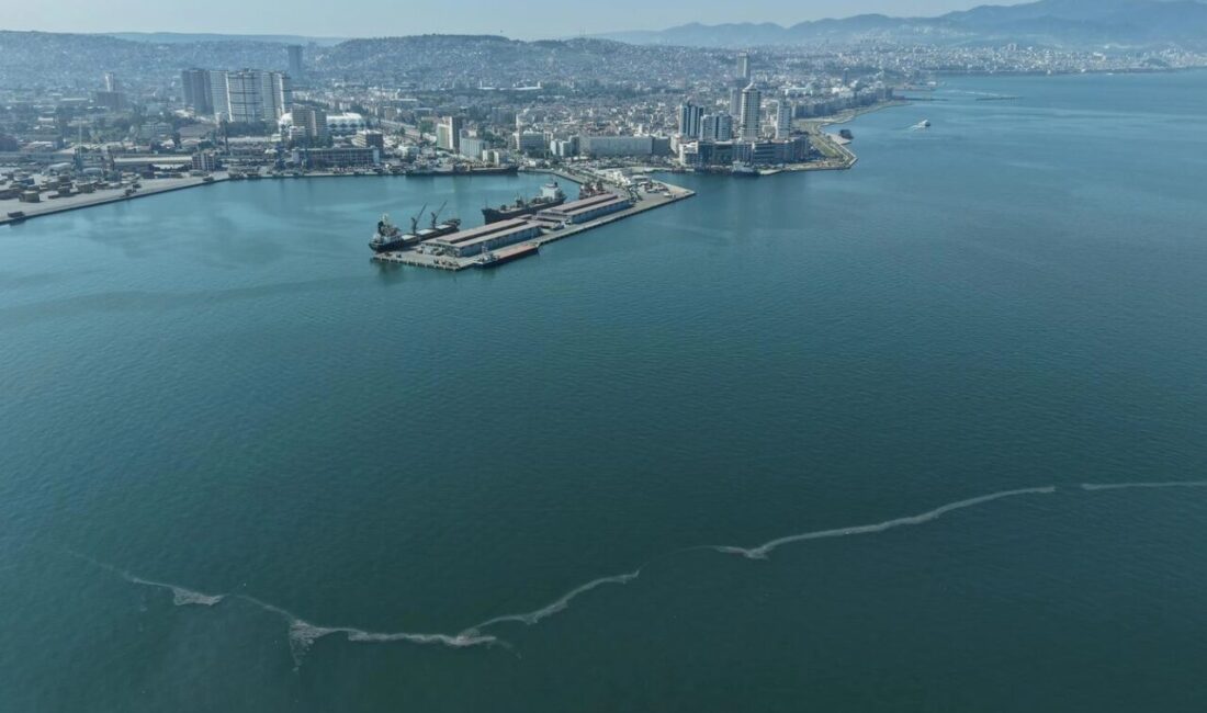 İzmir Büyükşehir Belediyesi’nin dron destekli rutin taramalarında, kasım ayından bu