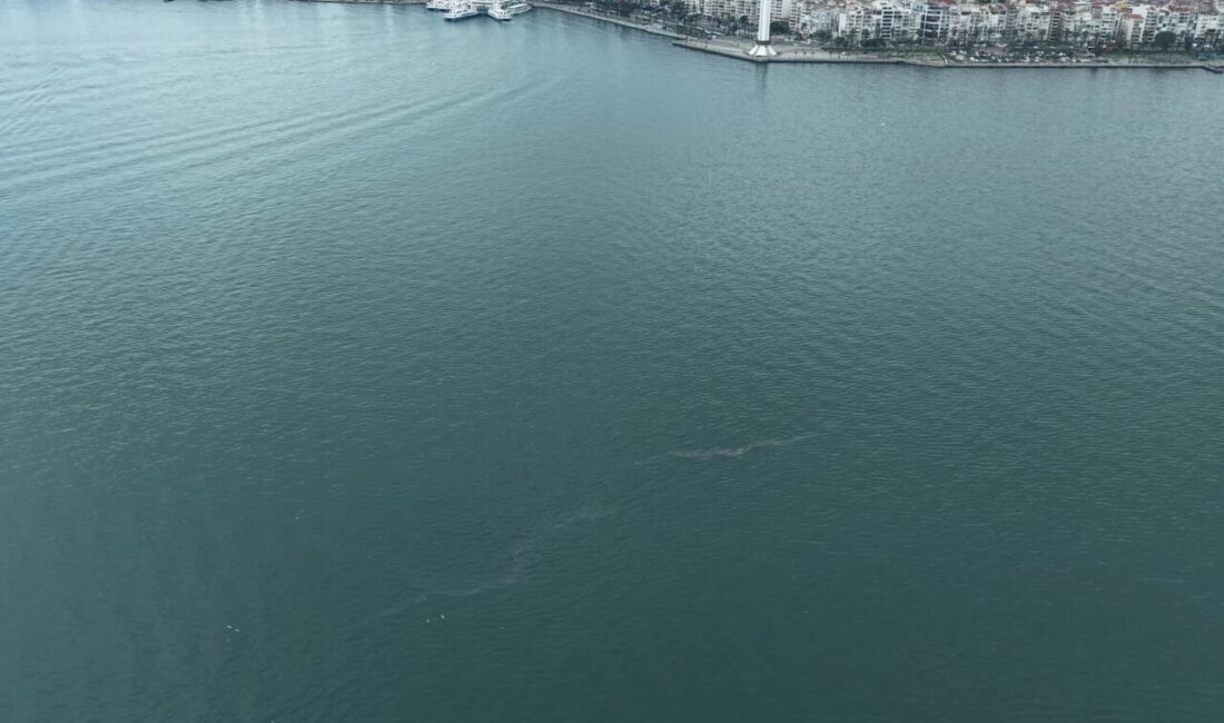 İzmir Büyükşehir Belediyesi’nin dron destekli rutin taramalarında, İzmir Körfezi’nde Karşıyaka