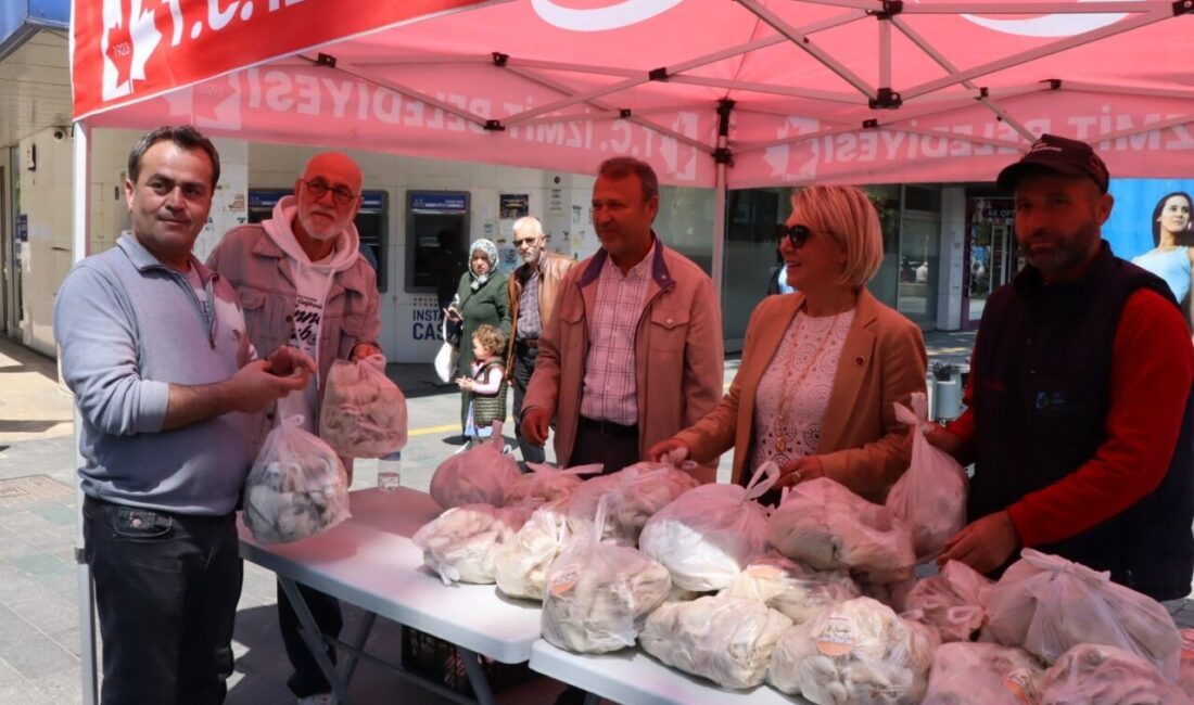 İzmit Belediyesi, kendi üretim tesisinde yetiştirdiği istiridye mantarlarını vatandaşlara ücretsiz