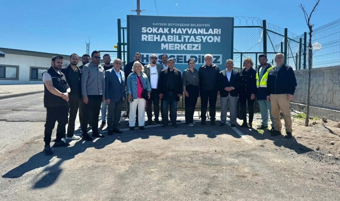 Kayseri Kent Konseyi Hayvan Hakları Çalışma Grubu, Büyükşehir Belediyesi’nin Molu’daki