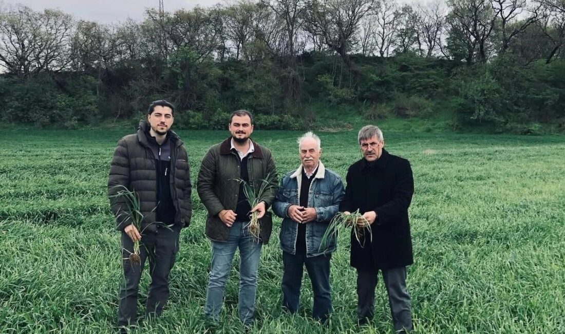 Edirne'de Keşan Ticaret ve Sanayi Odası Yönetim Kurulu Üyesi ve