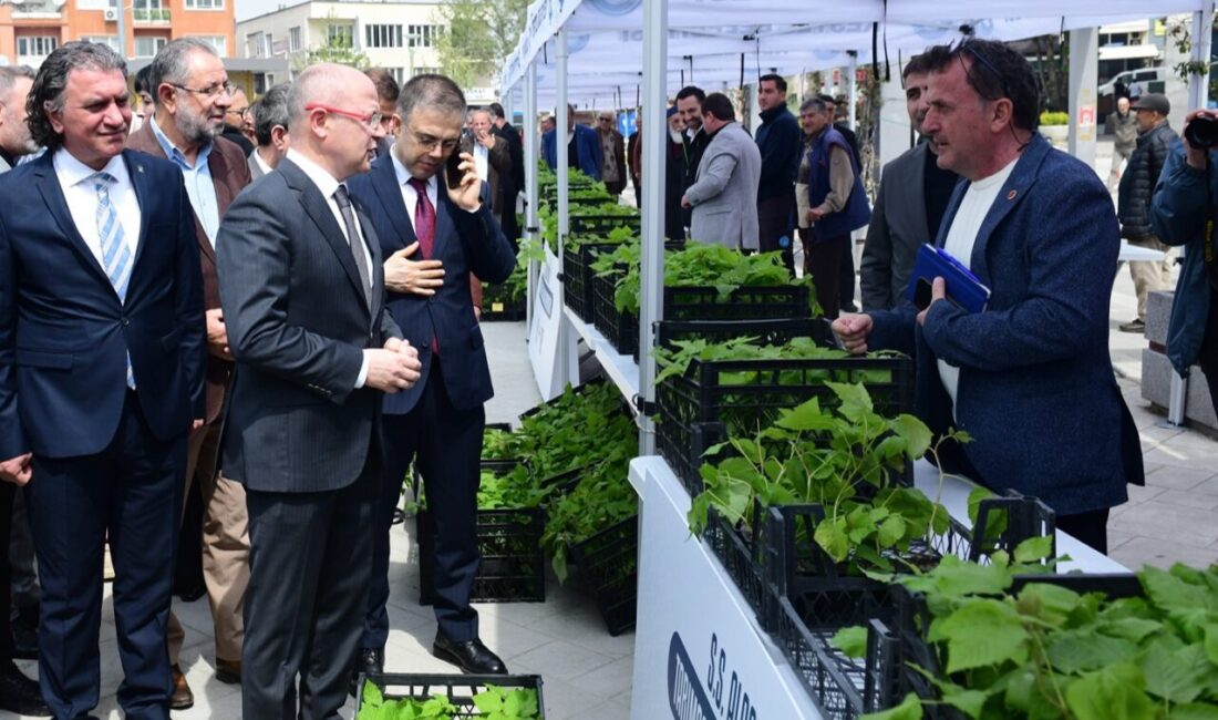 Türkiye’nin ahududu üretiminde yüzde 80’lere varan üretim kapasitesini artırmak ve