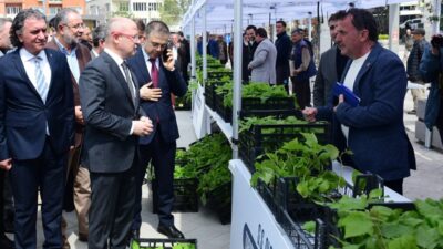 Türkiye’nin ahududu üretiminde yüzde 80’lere varan üretim kapasitesini artırmak ve