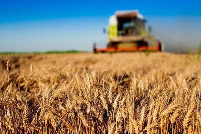 Tarım ve Orman Bakanlığı, 30 milyon TL’ye kadar projelerde yüzde