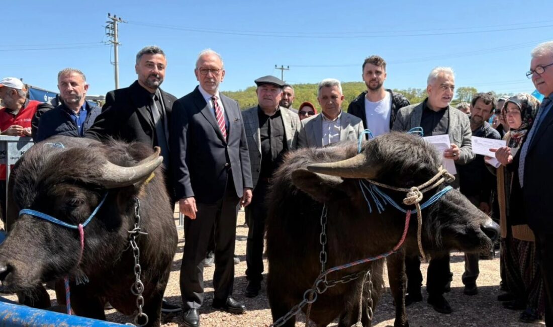 Kocaeli Büyükşehir Belediyesi’nin tarım ve hayvancılığa yönelik projeleri her geçen