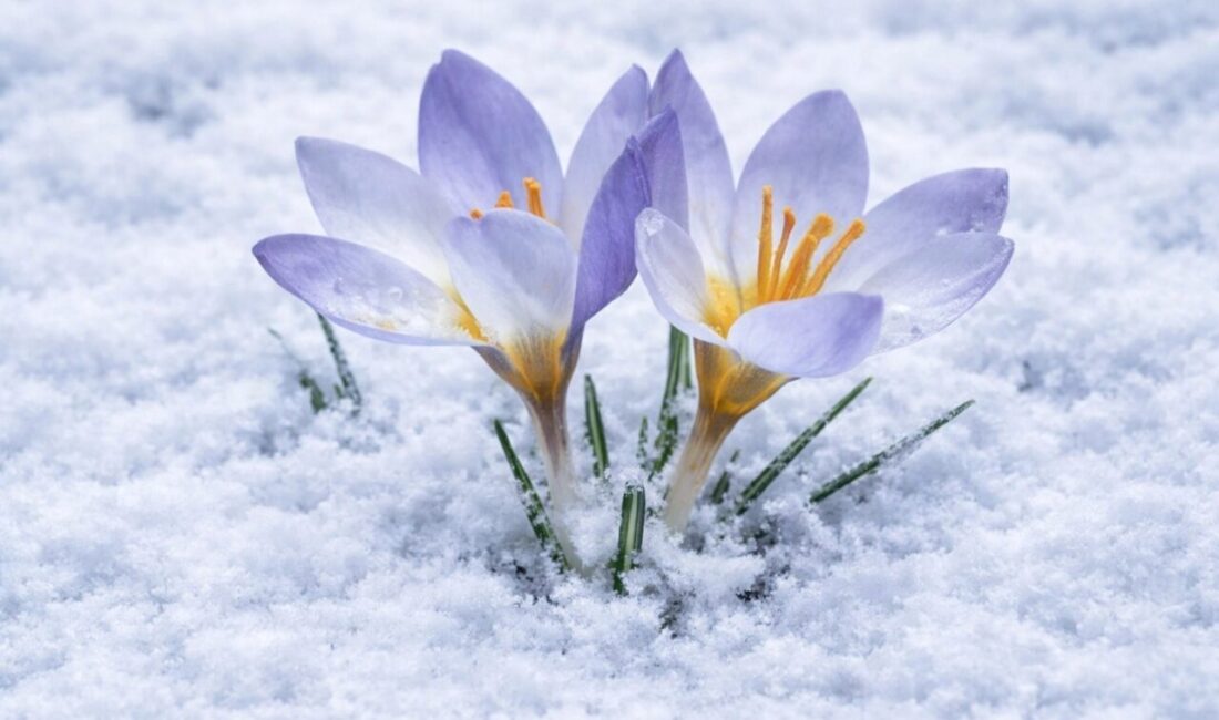 Kocaeli Büyükşehir Belediyesi’nin Turizm Haftası kapsamında Kartepe’nin zirvesinde yer alan