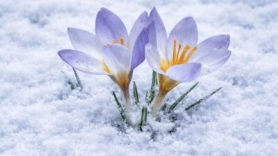 Kocaeli Büyükşehir Belediyesi’nin Turizm Haftası kapsamında Kartepe’nin zirvesinde yer alan