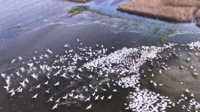 Bursa'da faaliyet gösteren Doğa Koruma ve Milli Parklar'a bağlı 2.