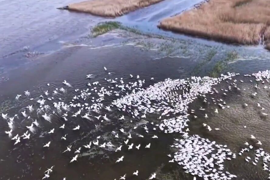 Bursa'da faaliyet gösteren Doğa Koruma ve Milli Parklar'a bağlı 2.