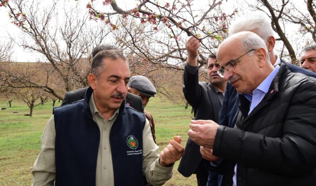 Malatya Büyükşehir Belediye Başkanı Sami Er, dolu yağışından etkilenen ilçelerde
