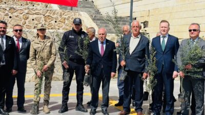 Mardin Yeşilli Belediyesi, tarımı desteklemek ve ilçeyi daha yeşil hale