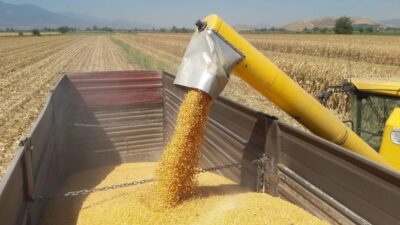 Ticaret Bakanlığı, artan talep ve küresel fiyat baskısı nedeniyle mısırda