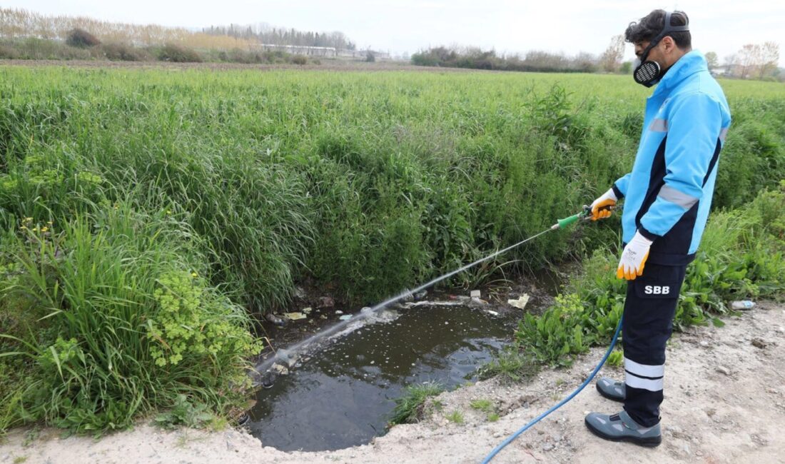 Sakarya Büyükşehir Belediyesi sıcakların artmasıyla birlikte oluşan haşere, sinek ve