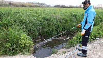 Sakarya Büyükşehir Belediyesi sıcakların artmasıyla birlikte oluşan haşere, sinek ve