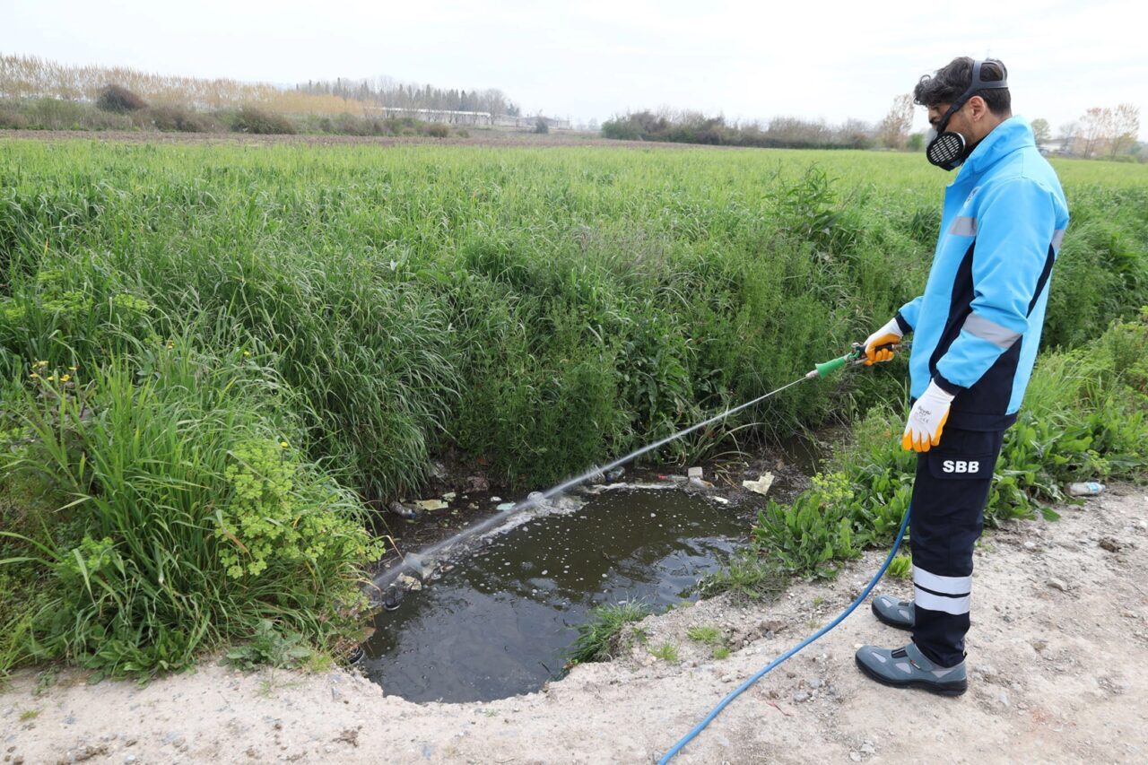 Sakarya Büyükşehir Belediyesi sıcakların artmasıyla birlikte oluşan haşere, sinek ve