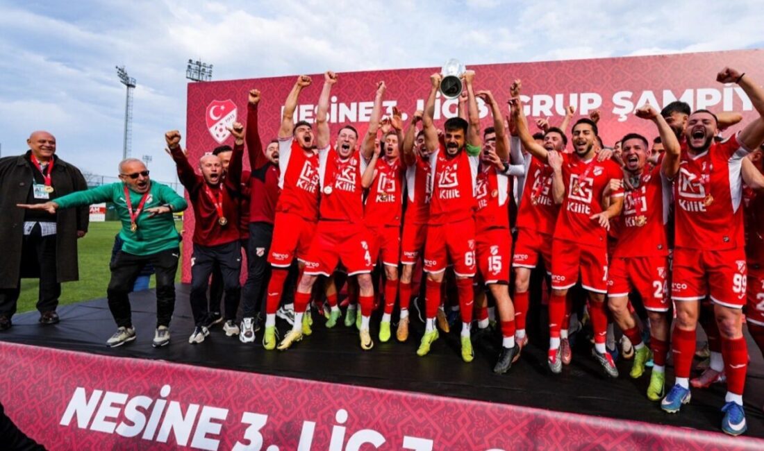 Türkiye Futbol Federasyonu, Nesine 3. Lig 3. Grup şampiyonu Sebat